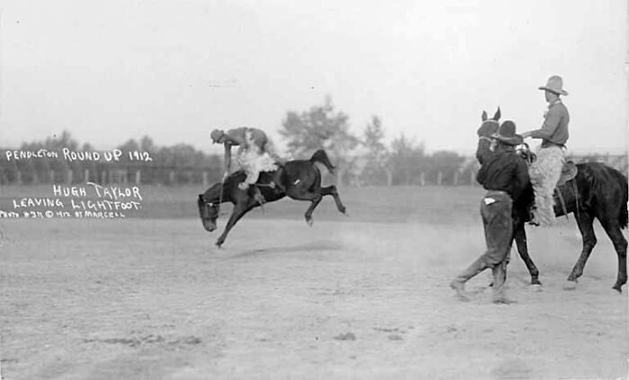 Vintage cowboy photograph from the early 1900s showing a rider bucking off a horse during a roundup event.