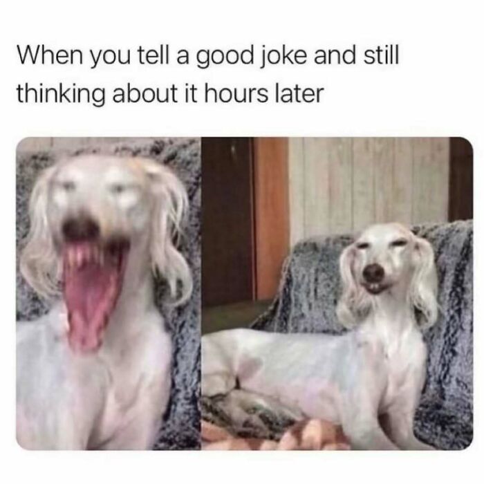 Relatable energy meme showing a dog laughing hard then smiling while thinking about a joke hours later.