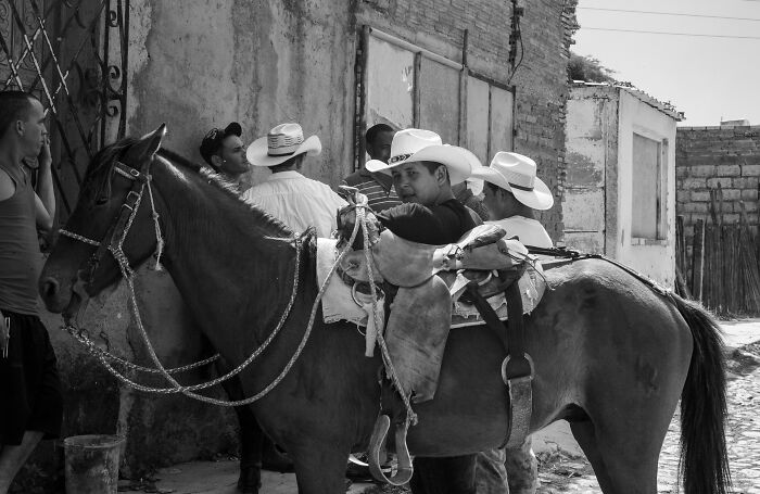 Group of men in hats gathered by a horse on a quiet street, captured in a cinematic photo by Adriana Ferrarese.