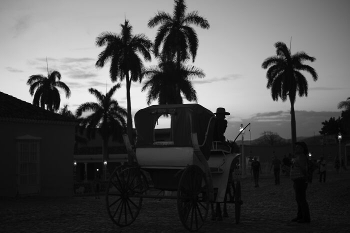 Black and white cinematic photo of a horse-drawn carriage and palm trees at dusk, capturing everyday life moments.
