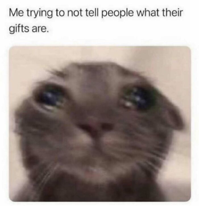 Blurry cat with teary eyes captioned trying not to tell people their gifts relatable energy meme moment.