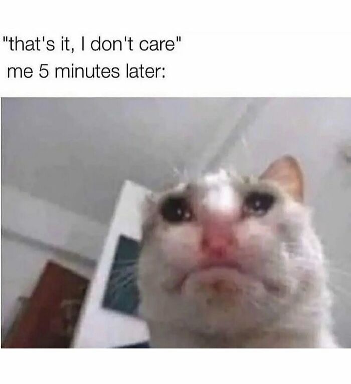 Sad-looking cat close-up portraying relatable energy in a funny meme about pretending not to care then caring moments.