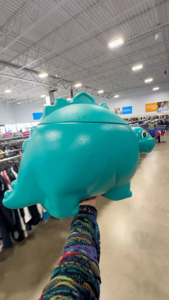 Person holding a large teal dinosaur container inside a thrift store featuring cool secondhand finds and items.