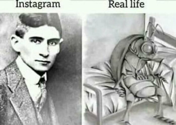 Black and white meme comparing an intellectual's Instagram photo to a humorous real-life drawing of an insect on a bed.