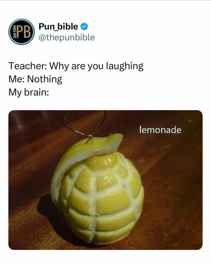Pun meme showing a lemon carved like a hand g*****e with the word lemonade, highlighting hilarious wordplay comedy.
