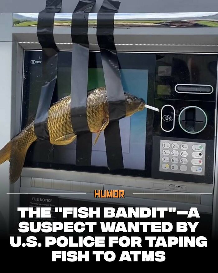 Fish taped to an ATM with a cigarette in its mouth, a humorous image for brain craving new knowledge facts.