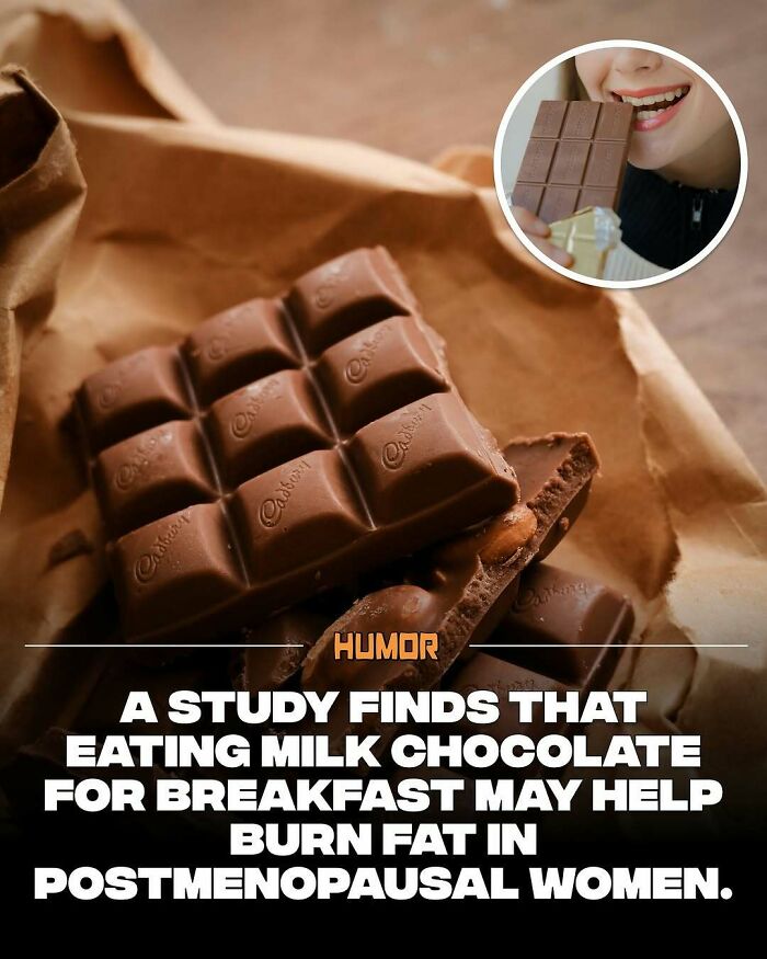 Milk chocolate on brown paper with text about a study linking it to fat burning in postmenopausal women, new knowledge facts keyword.