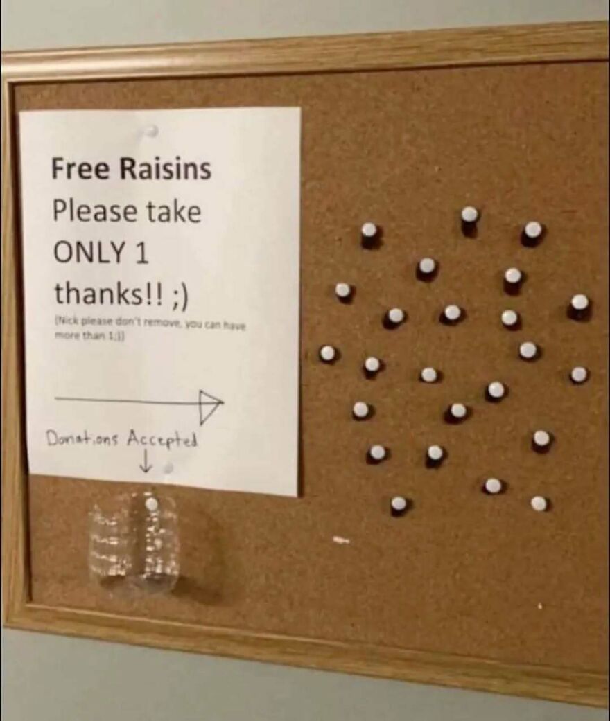 A bizarre and hilarious corkboard sign offering free raisins with only one raisin pinned, creating a funny visual double take.