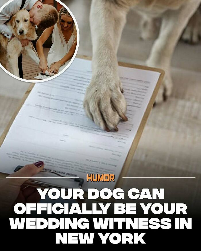 Dog paw on document with couple signing papers, illustrating unusual facts for brain craving new knowledge.