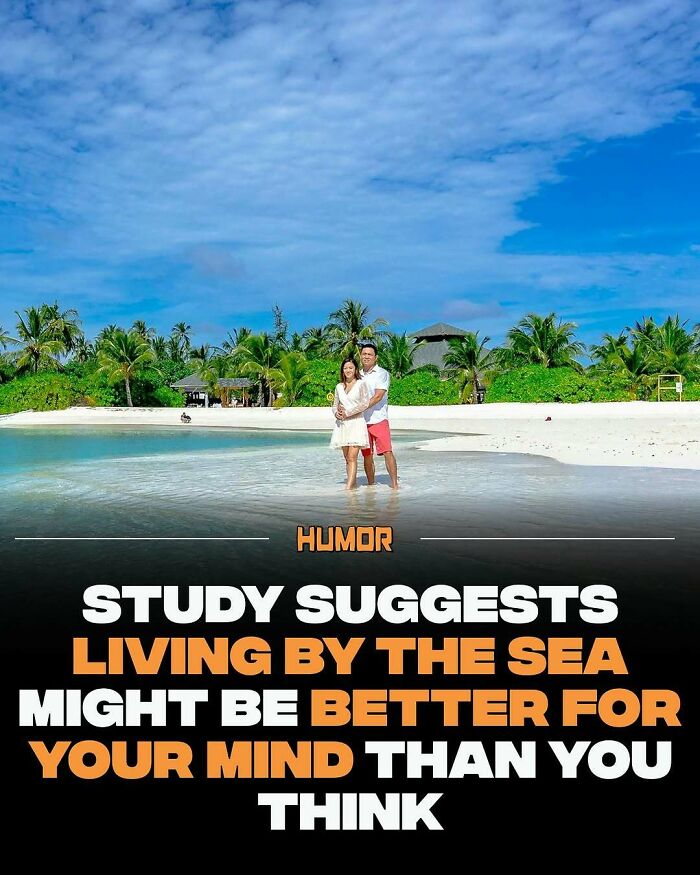 Couple standing in shallow sea water by the beach with a study suggesting benefits for your mind and knowledge.
