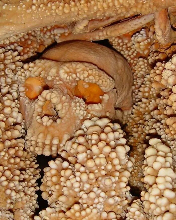 Ancient skeleton encrusted with calcite formations, revealing a weird thing about history in cave archaeology.