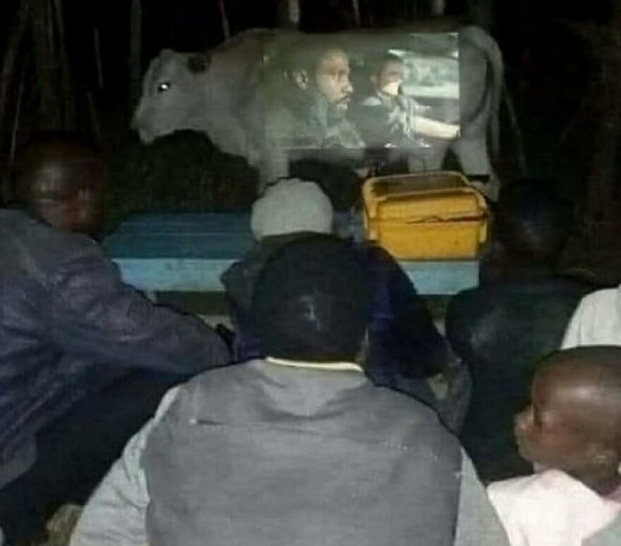A bizarre yet hilarious pic showing people watching a movie projected onto a cow at night outdoors.
