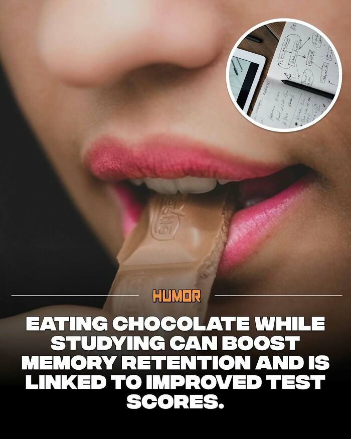 Close-up of person eating chocolate with notes and tablet nearby, illustrating facts to satisfy brain's craving for new knowledge.