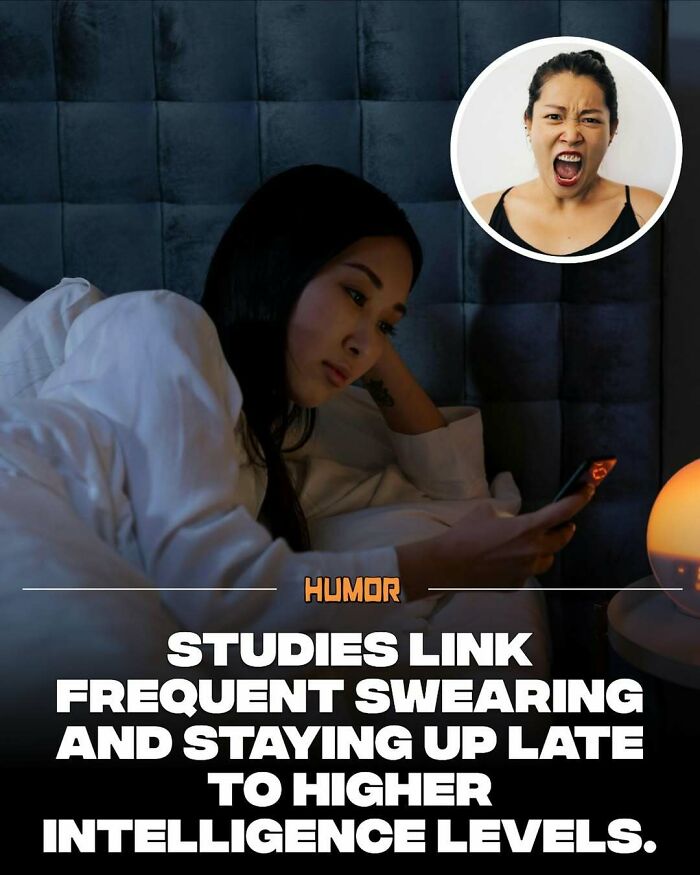 Woman lying in bed using phone late at night with inset of angry woman, related to brain craving new knowledge facts.