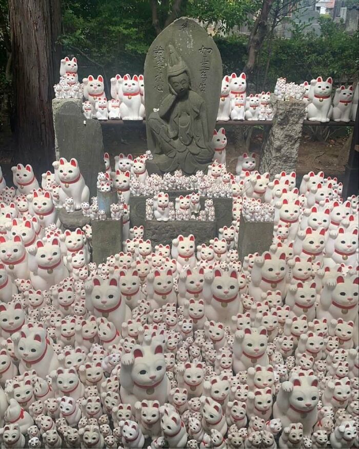 Hundreds of waving cat statues surrounding a stone statue in a serene nature setting highlighting animals and random fun facts.
