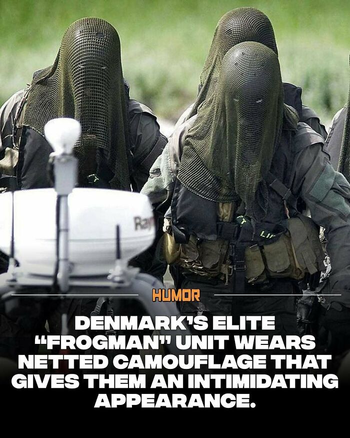 Elite Danish Frogman unit wearing netted camouflage with intimidating appearance in tactical gear, satisfying brain craving new knowledge.
