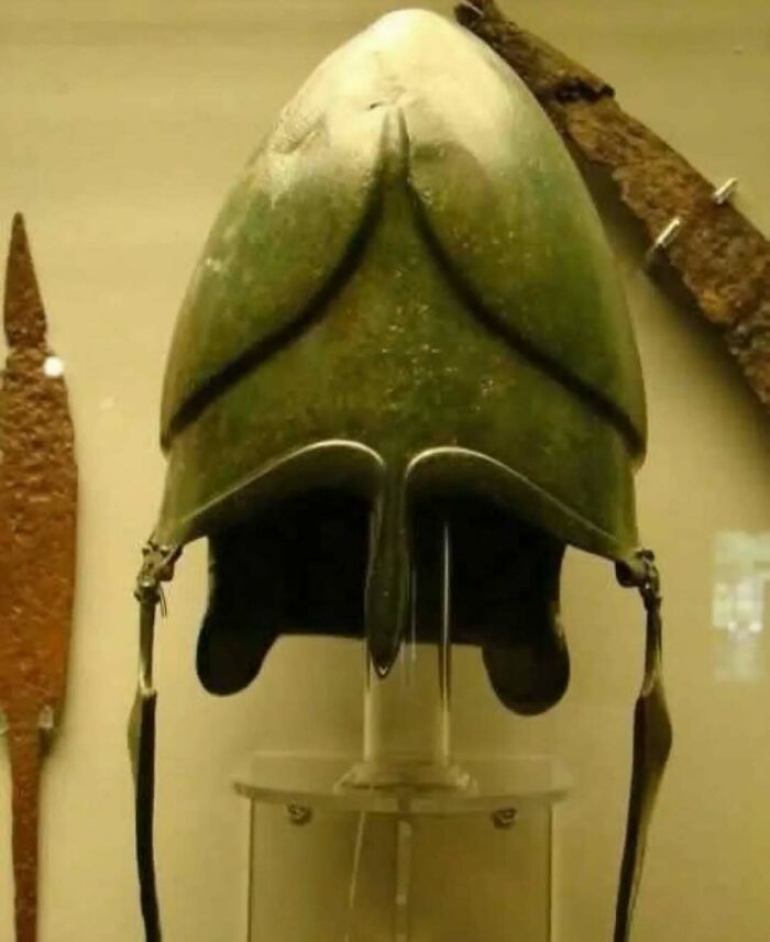 Ancient bronze helmet resembling an animal shell on display, showcasing nature and historical animal-inspired design.