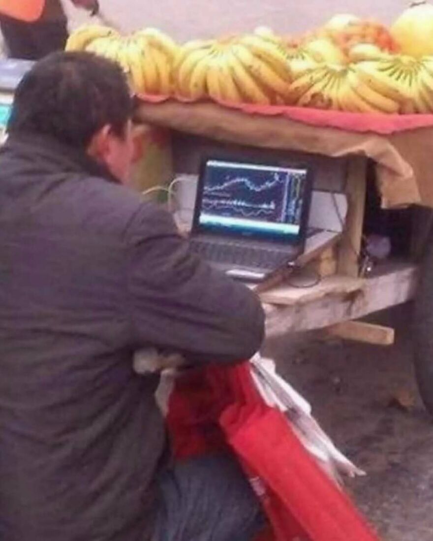 Man analyzing stock charts on a laptop while sitting at a banana stand in a bizarre yet hilarious scene.