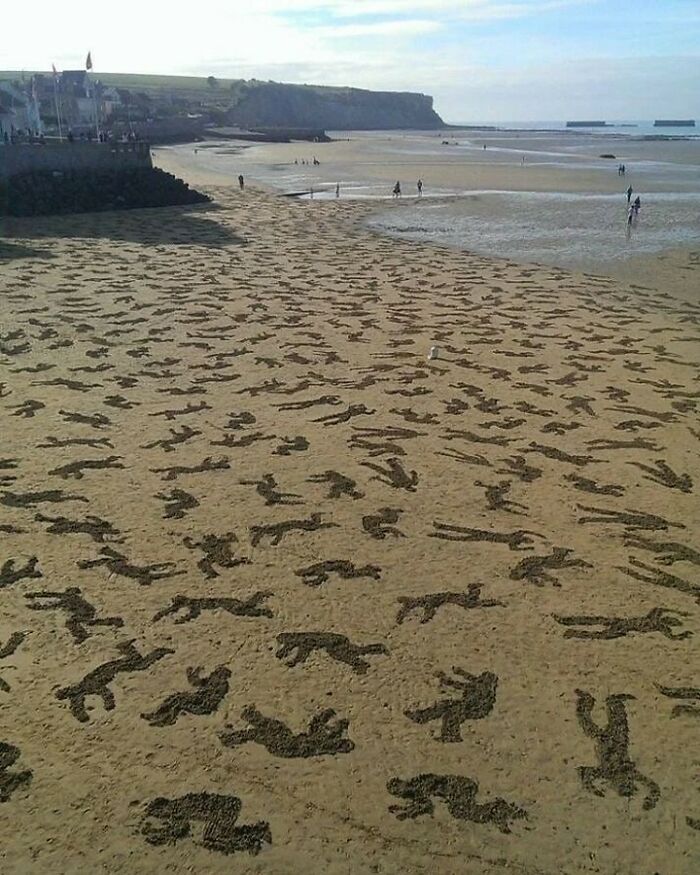 Beach covered with hundreds of human-shaped figures drawn in the sand, related to learning weird things about history.