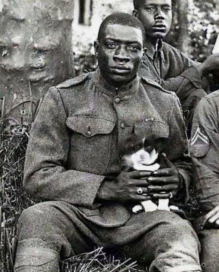 Black soldier in WWI uniform sitting outdoors, holding a small dog, a vintage historical photo reflecting history's unusual moments.