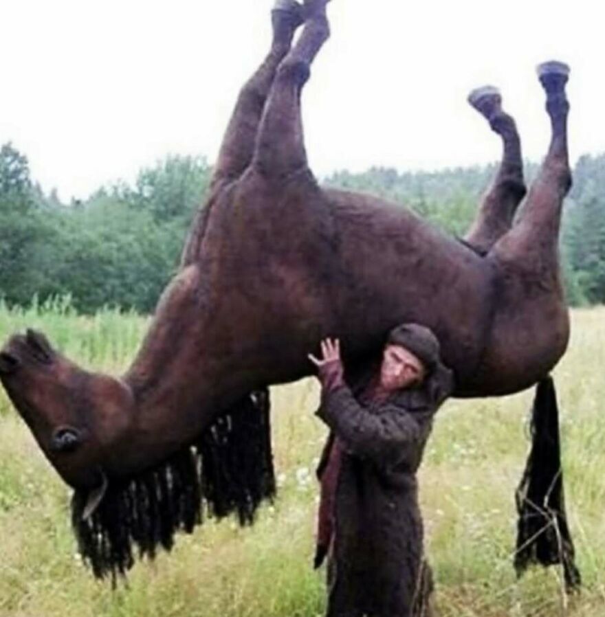 Man lifting a horse upside down in a grassy field, an unusual and bizarre scene that might make you do a double take.