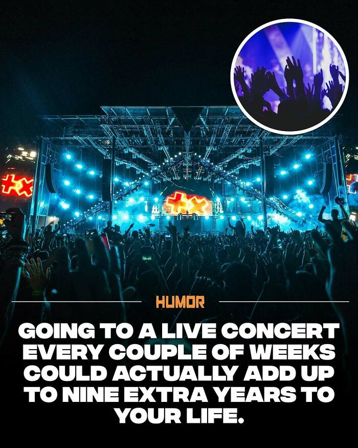 Crowd at a live concert with stage lights and raised hands, illustrating facts to satisfy brain craving new knowledge.