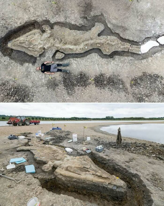 Archaeologists uncovering a massive prehistoric animal fossil at an excavation site in nature.