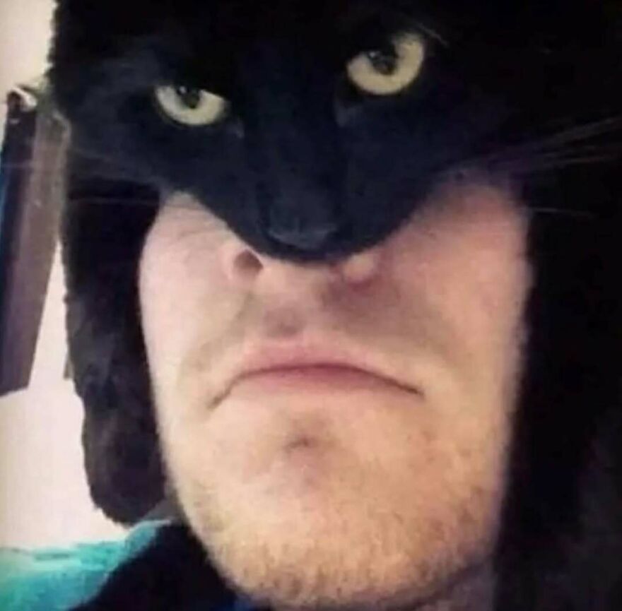 Close-up of a person with a black cat perfectly aligned on their face creating a bizarre and hilarious visual illusion.