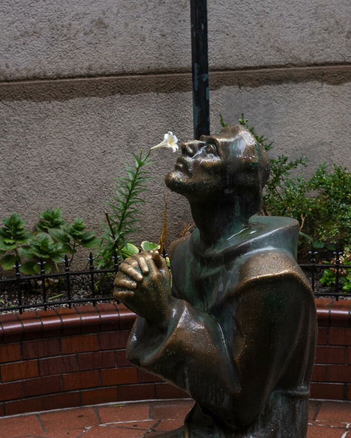 Bronze statue in city garden with white flower aligned at nose, showcasing street photographer capturing magical city life coincidences.