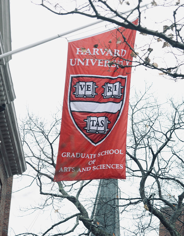 Red Harvard University banner hanging outdoors with bare tree branches in the background and academic building nearby Red Harvard University banner hanging outdoors with bare tree branches in the background and academic building nearby