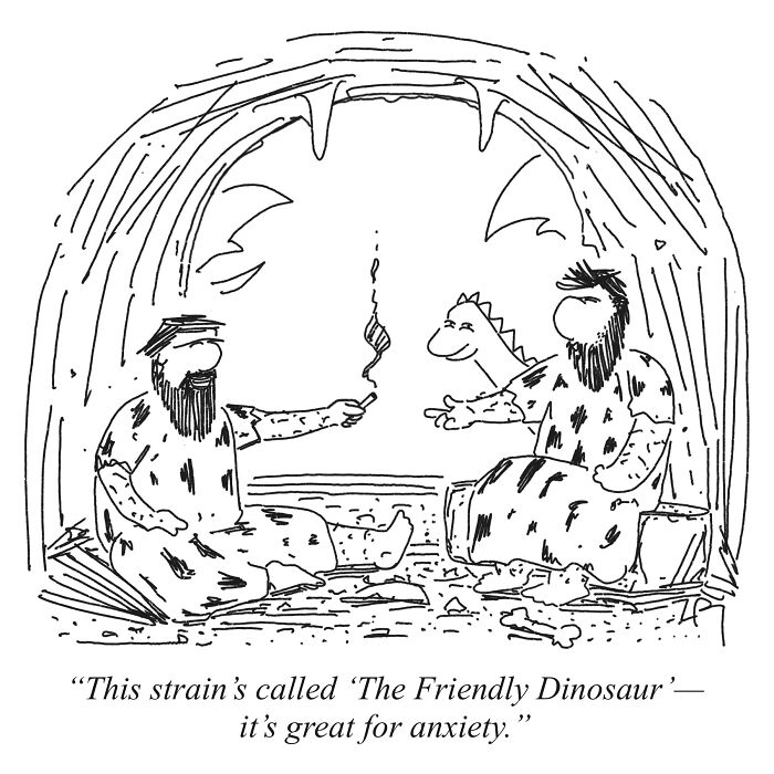 Welcome To The Stoned Age