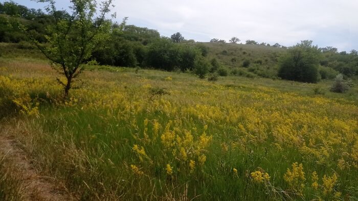 We Traveled To A Forgotten Steppe Near Dnipro, Ukraine &ndash; And Found Artistic Magic Hidden In The Wild