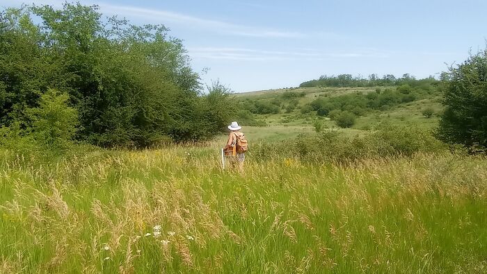 We Traveled To A Forgotten Steppe Near Dnipro, Ukraine &ndash; And Found Artistic Magic Hidden In The Wild