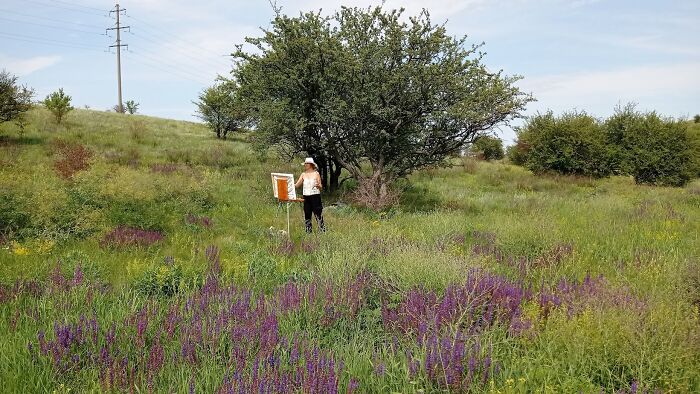 We Traveled To A Forgotten Steppe Near Dnipro, Ukraine &ndash; And Found Artistic Magic Hidden In The Wild