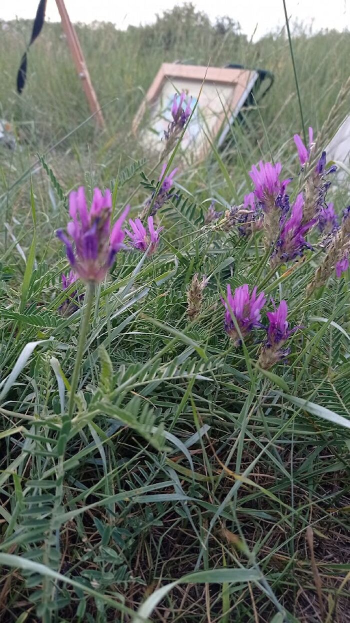 We Traveled To A Forgotten Steppe Near Dnipro, Ukraine &ndash; And Found Artistic Magic Hidden In The Wild