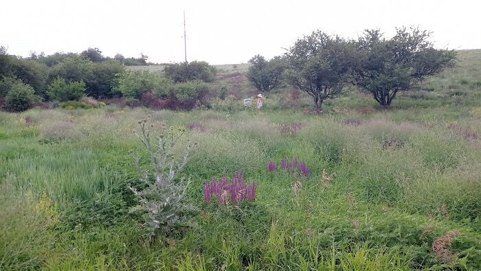 We Traveled To A Forgotten Steppe Near Dnipro, Ukraine &ndash; And Found Artistic Magic Hidden In The Wild