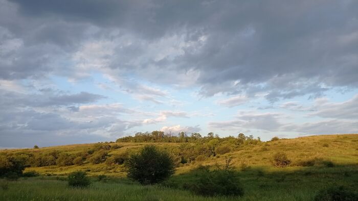 We Traveled To A Forgotten Steppe Near Dnipro, Ukraine &ndash; And Found Artistic Magic Hidden In The Wild