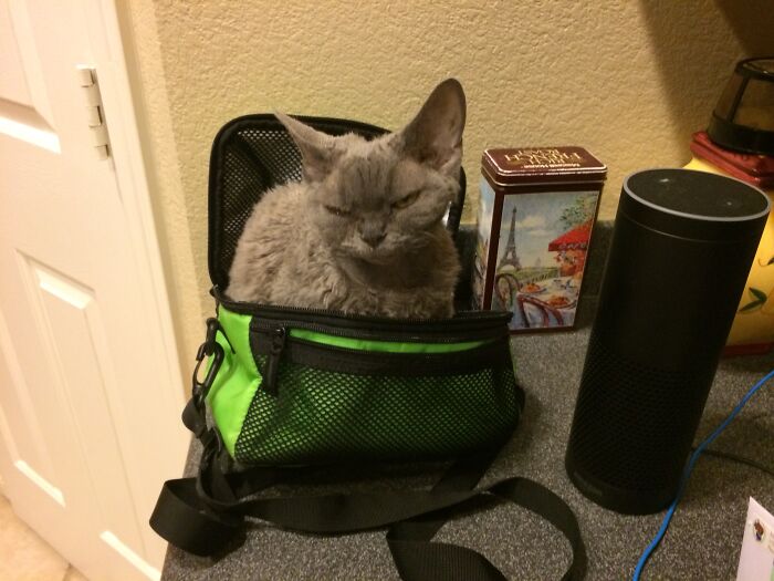 Chloe In The Lunchbox