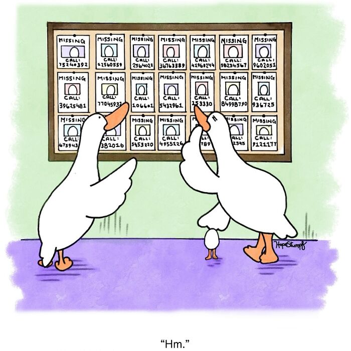 Two ducks looking at a bulletin board filled with missing animal posters in an adorably funny animal comics style.