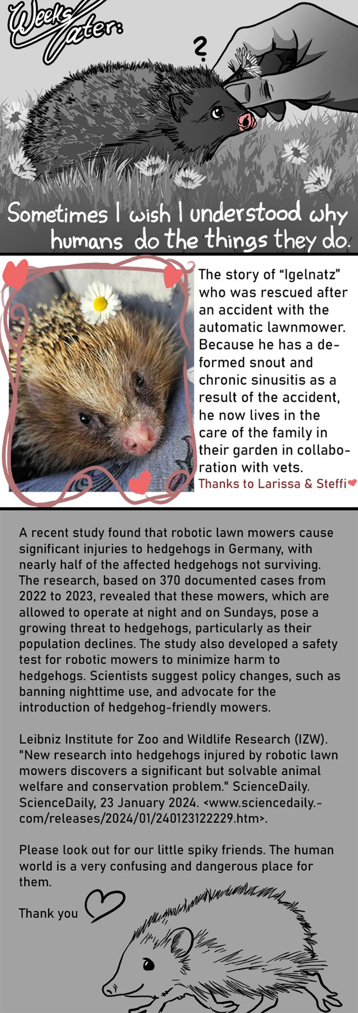 Hedgehog rescue story in grim reaper animal comics, highlighting harm from robotic lawn mowers and animal welfare concerns.