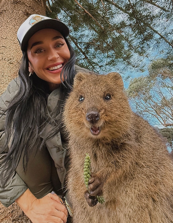 Katy Perry smiling outdoors wearing a cap, posing with a quokka in a nature setting after breakup with Orlando Bloom.