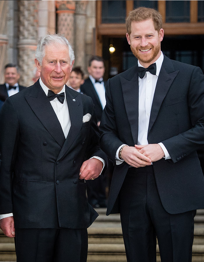 King Charles and Prince Harry in formal wear, captured smiling together during a public event.