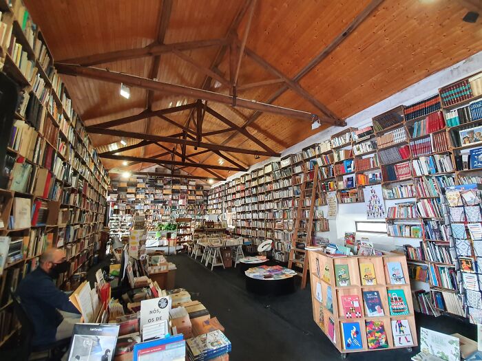 Cozy and grandiose library with tall wooden shelves filled with books and a high wooden ceiling interior.