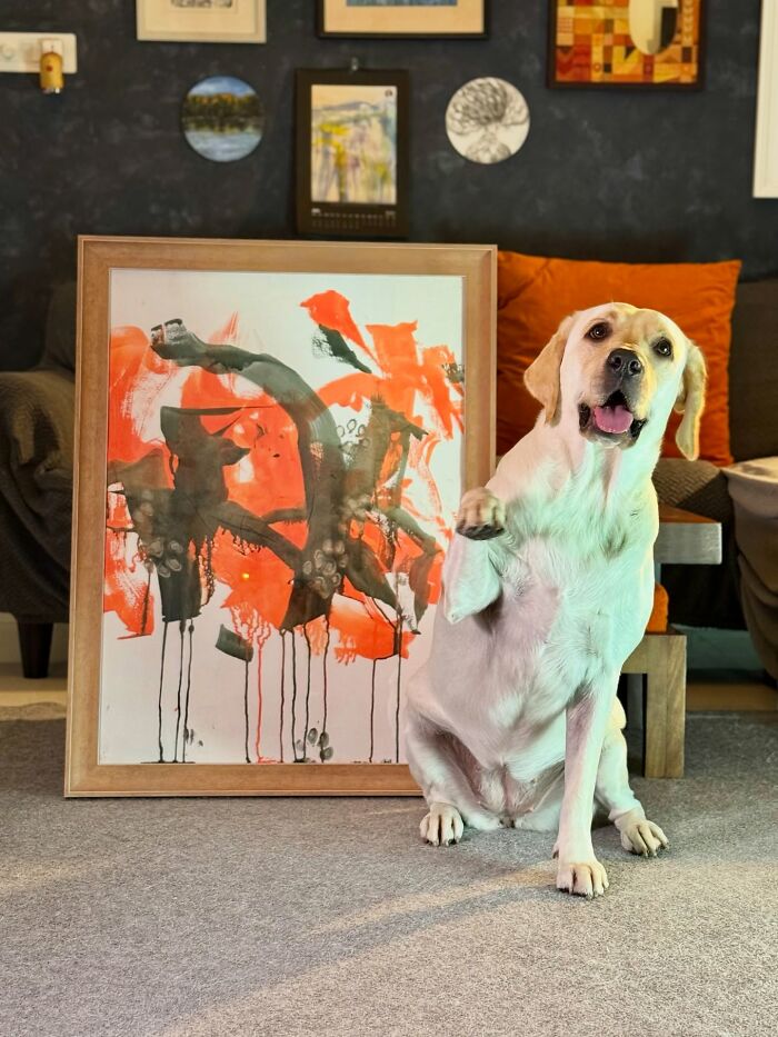 Rescue Labrador sitting beside a vibrant abstract painting created by painting with her mouth indoors.