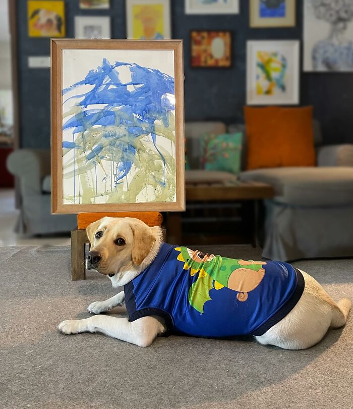 Rescue Labrador lying indoors near an abstract painting, wearing a colorful shirt, showcasing art created with her mouth.