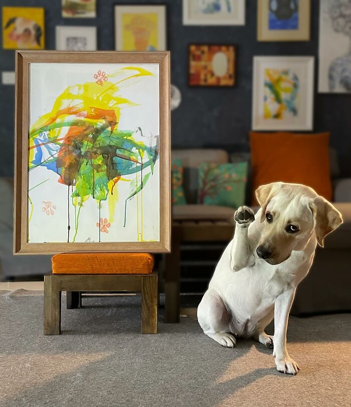 Rescue Labrador sitting next to a colorful abstract painting, showcasing unique mouth-painted art in a cozy living room.