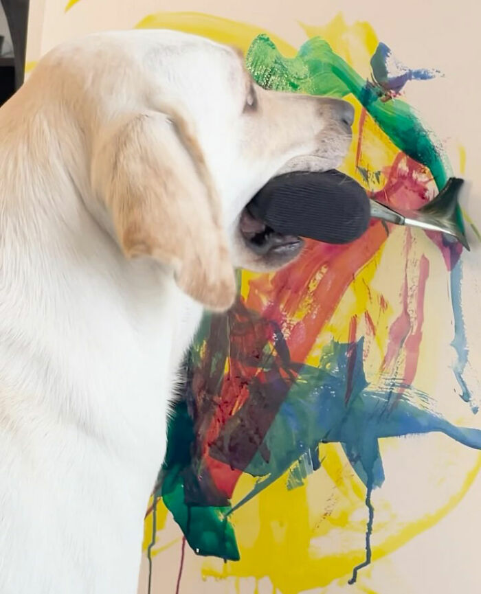 Labrador dog painting colorful abstract art using a brush held in her mouth on a canvas.