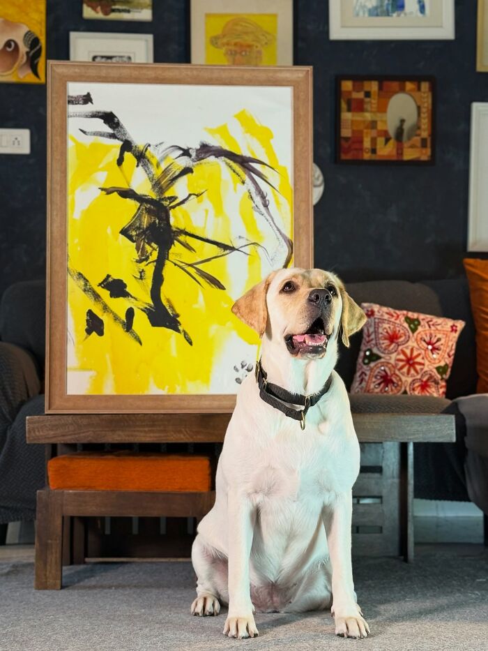 Rescue Labrador sitting in front of an abstract painting showcasing art created by dog painting with her mouth.