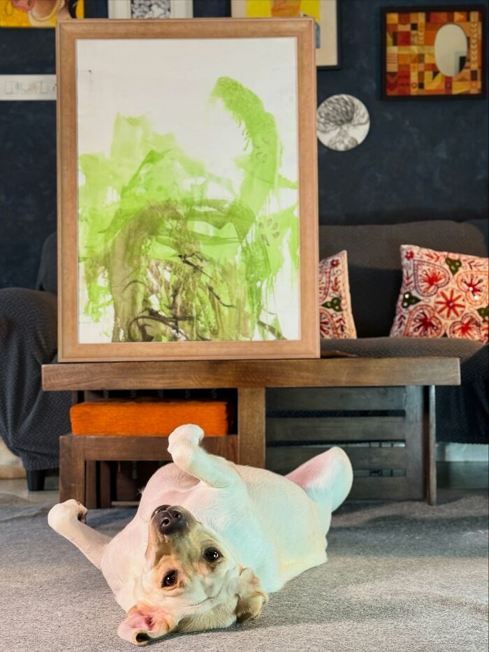 Rescue Labrador lying on floor in front of abstract green painting, showcasing art created with her mouth.