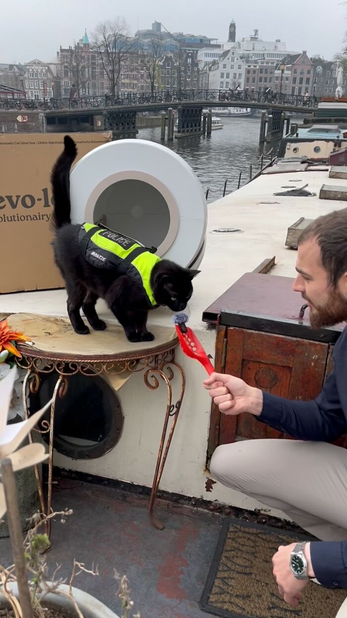 Black cat wearing a police vest in Amsterdam interacts with a man on a canal boat deck near a bridge and buildings.